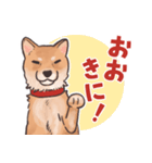 柴犬のコタロー・関西弁スタンプ（個別スタンプ：10）
