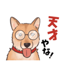 柴犬のコタロー・関西弁スタンプ（個別スタンプ：12）