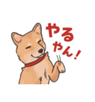 柴犬のコタロー・関西弁スタンプ（個別スタンプ：13）