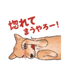 柴犬のコタロー・関西弁スタンプ（個別スタンプ：17）