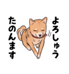 柴犬のコタロー・関西弁スタンプ（個別スタンプ：18）