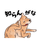 柴犬のコタロー・関西弁スタンプ（個別スタンプ：20）