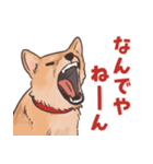 柴犬のコタロー・関西弁スタンプ（個別スタンプ：23）