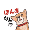 柴犬のコタロー・関西弁スタンプ（個別スタンプ：26）