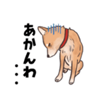 柴犬のコタロー・関西弁スタンプ（個別スタンプ：29）