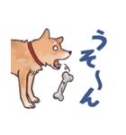 柴犬のコタロー・関西弁スタンプ（個別スタンプ：32）