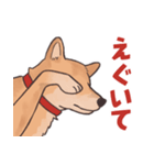 柴犬のコタロー・関西弁スタンプ（個別スタンプ：34）