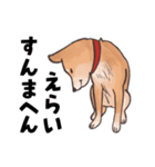柴犬のコタロー・関西弁スタンプ（個別スタンプ：38）
