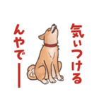 柴犬のコタロー・関西弁スタンプ（個別スタンプ：39）