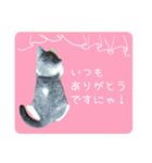 白玉ねこの、ぼくういくん！超子猫日常ver（個別スタンプ：19）