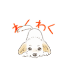 ハーフ犬 ラテちゃんです（個別スタンプ：2）