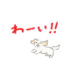 ハーフ犬 ラテちゃんです（個別スタンプ：3）