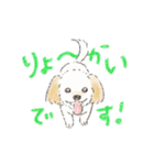 ハーフ犬 ラテちゃんです（個別スタンプ：5）