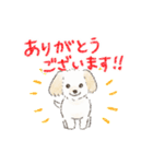 ハーフ犬 ラテちゃんです（個別スタンプ：7）