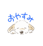 ハーフ犬 ラテちゃんです（個別スタンプ：12）