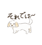 ハーフ犬 ラテちゃんです（個別スタンプ：16）