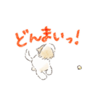 ハーフ犬 ラテちゃんです（個別スタンプ：20）