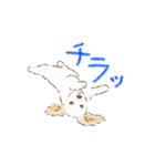 ハーフ犬 ラテちゃんです（個別スタンプ：21）