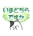 デカ文字！丁寧な敬語のぶち猫さん（個別スタンプ：17）