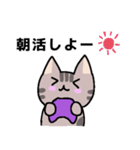 ゆるかわ☆ねこ(ゲーム日和)（個別スタンプ：1）