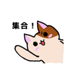 ゆるかわ☆ねこ(ゲーム日和)（個別スタンプ：4）