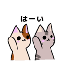 ゆるかわ☆ねこ(ゲーム日和)（個別スタンプ：5）