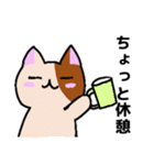 ゆるかわ☆ねこ(ゲーム日和)（個別スタンプ：11）