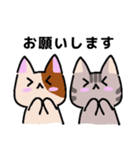 ゆるかわ☆ねこ(ゲーム日和)（個別スタンプ：17）