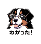 バーニーズと一緒に毎日を(jp)（個別スタンプ：7）