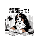 バーニーズと一緒に毎日を(jp)（個別スタンプ：10）