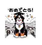 バーニーズと一緒に毎日を(jp)（個別スタンプ：26）