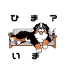 バーニーズと一緒に毎日を(jp)（個別スタンプ：28）