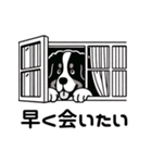 バーニーズと一緒に毎日を(jp)（個別スタンプ：36）