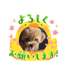 ミミちゃん日常編（個別スタンプ：3）