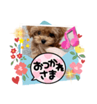 ミミちゃん日常編（個別スタンプ：5）