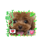 ミミちゃん日常編（個別スタンプ：8）