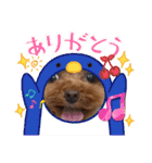ミミちゃん日常編（個別スタンプ：9）