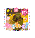 ミミちゃん日常編（個別スタンプ：11）