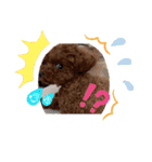 ミミちゃん日常編（個別スタンプ：12）