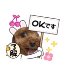 ミミちゃん日常編（個別スタンプ：19）