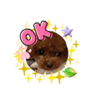 ミミちゃん日常編（個別スタンプ：20）