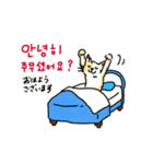 うちの猫と韓国語4（個別スタンプ：3）