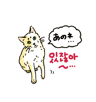 うちの猫と韓国語4（個別スタンプ：4）