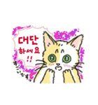 うちの猫と韓国語4（個別スタンプ：5）