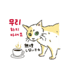 うちの猫と韓国語4（個別スタンプ：8）