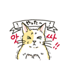 うちの猫と韓国語4（個別スタンプ：11）