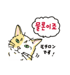 うちの猫と韓国語4（個別スタンプ：14）