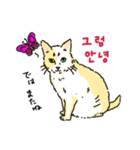 うちの猫と韓国語4（個別スタンプ：16）