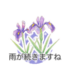 手描きの花 日常使いと季節の挨拶 丁寧語（個別スタンプ：9）