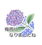 手描きの花 日常使いと季節の挨拶 丁寧語（個別スタンプ：10）